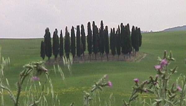 B&B Il Vecchietta Castiglione dʼOrcia Kültér fotó