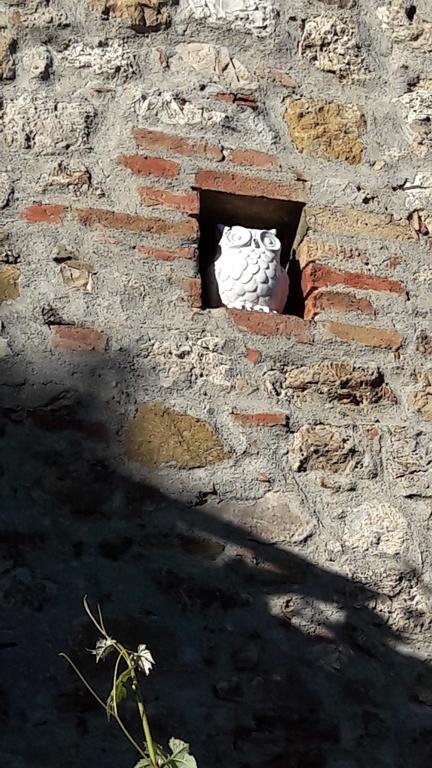 B&B Il Vecchietta Castiglione dʼOrcia Kültér fotó